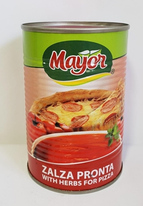 Picture of MAYOR ZALZA PRONTA 410G